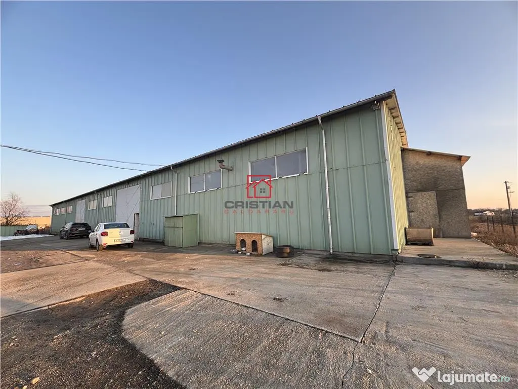 Depozit/hala/spatiu industrial Chiajna - Ciorogarla - A0 - 