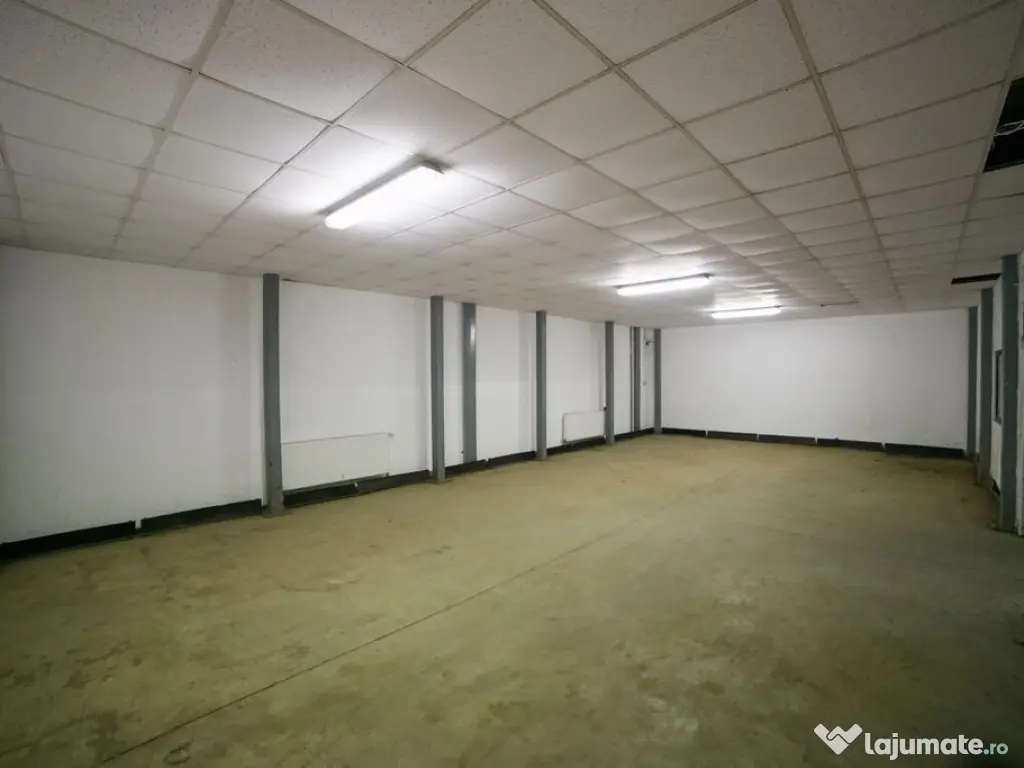 Hală industrială 627mp în Parc Industrial Arad 