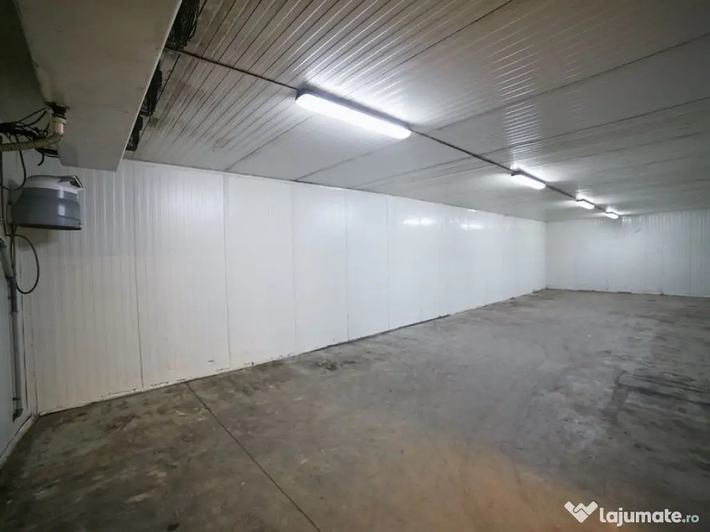 Hală industrială 627mp în Parc Industrial Arad 