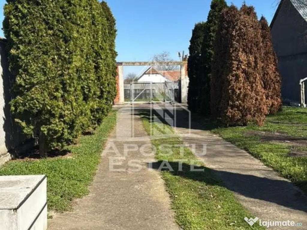 Teren intravilan in Dinias, 996mp, gard de beton si poart... 