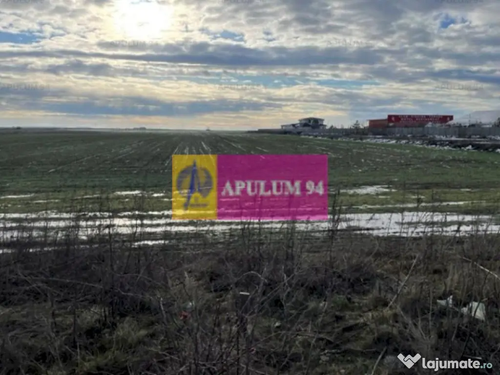 Teren Mihailesti- langa Dovinot.