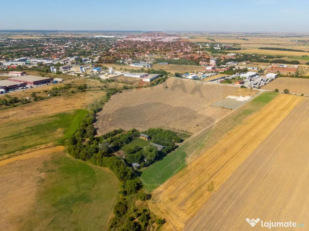 Investiție Arad: 20.000 mp teren cu utilități și acce... 