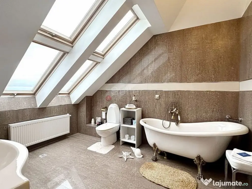 Zona Centrala Acces Facil 