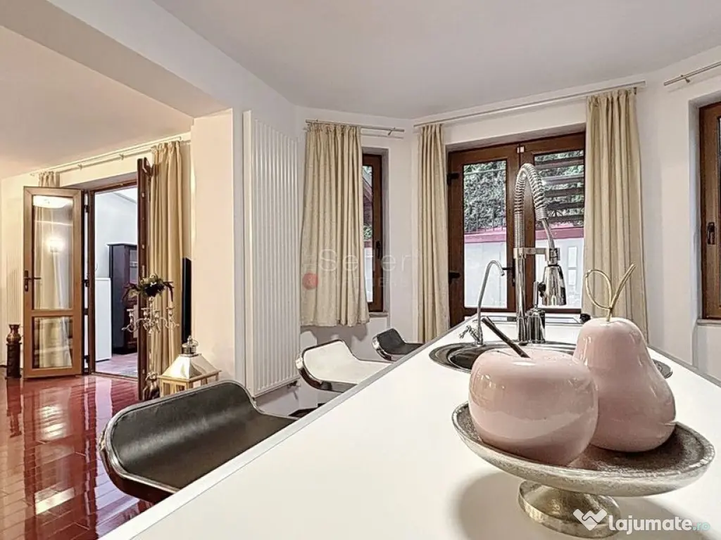 Zona Centrala Acces Facil 