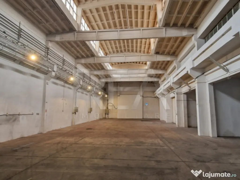 Hala Depozitare/Productie +Birou | Poduri Rulant | 1000 m.p. 