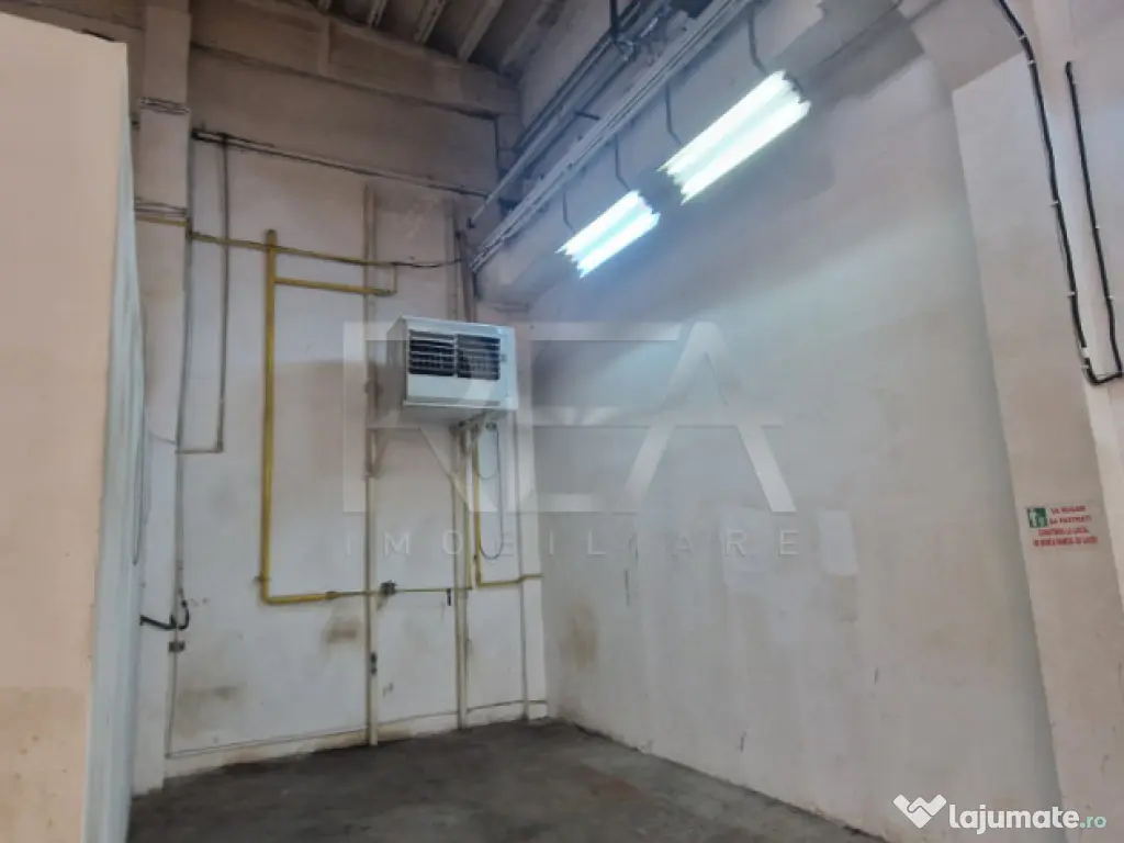 Hala Depozitare/Productie +Birou | Poduri Rulant | 1000 m.p. 