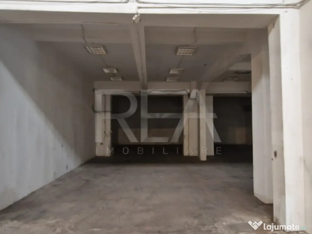 Hala Depozitare/Productie +Birou | Poduri Rulant | 1000 m.p. 