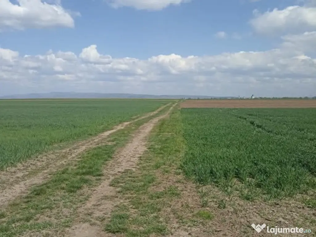 De vânzare teren extravilan lângă drumul DN11