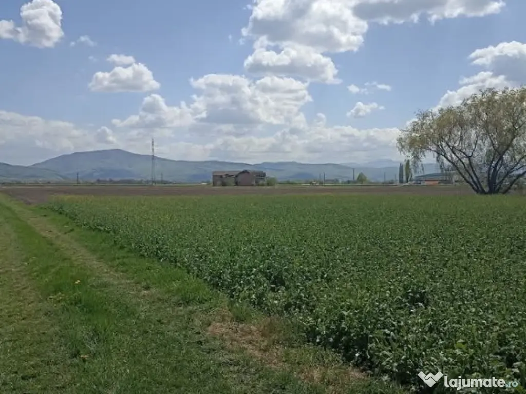 De vânzare teren extravilan lângă drumul DN11