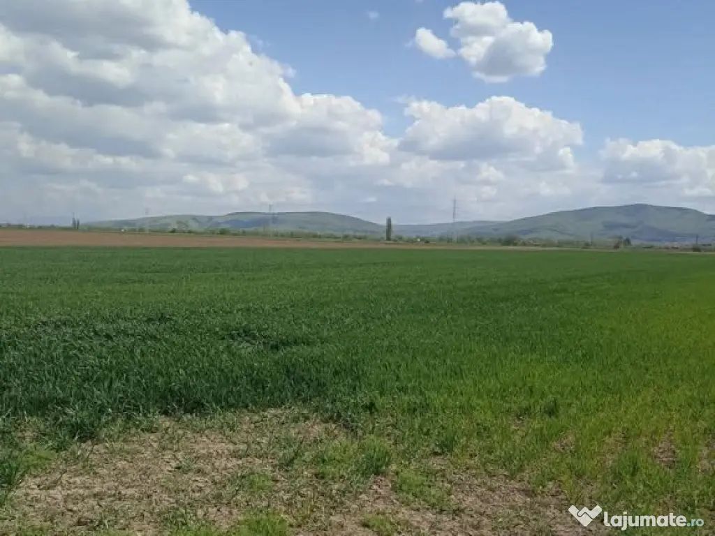 De vânzare teren extravilan lângă drumul DN11