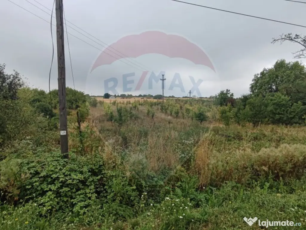 Teren 2.341 mp Uileacu de Munte front 26 ml la drum asfaltat 