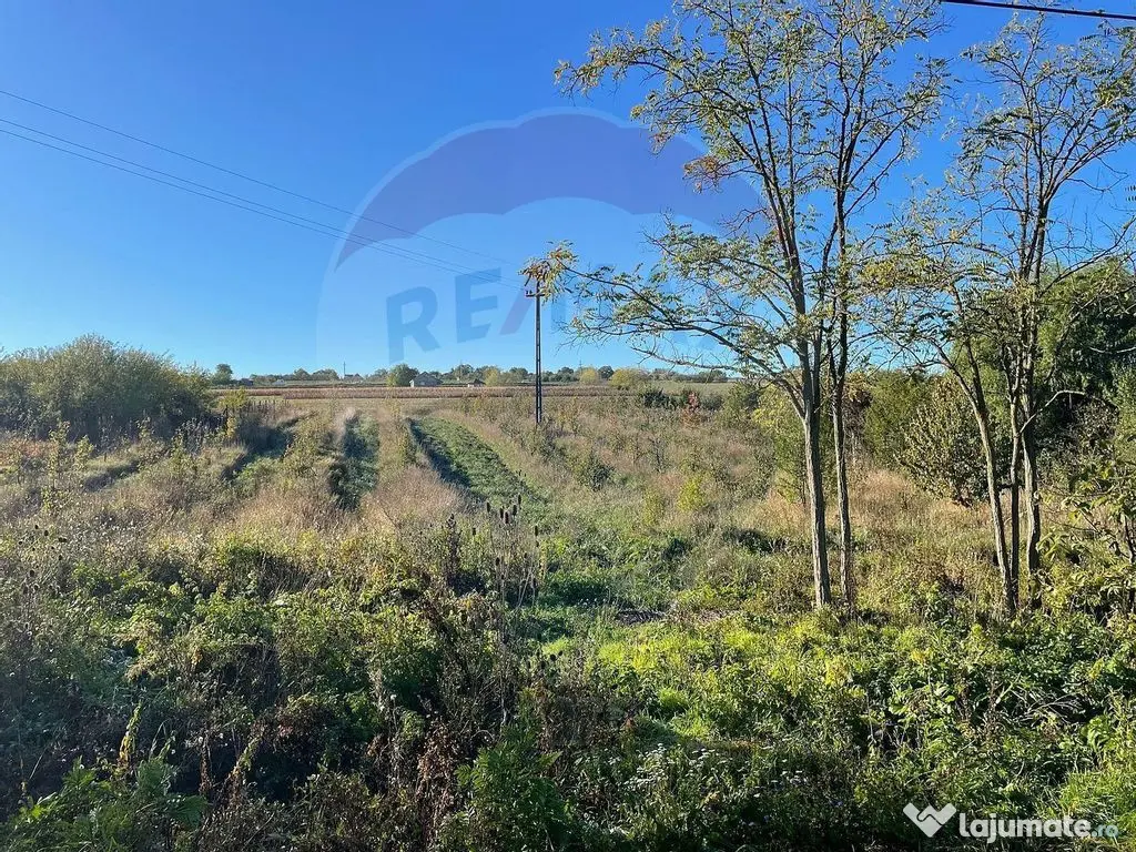 Teren 2.341 mp Uileacu de Munte front 26 ml la drum asfaltat 