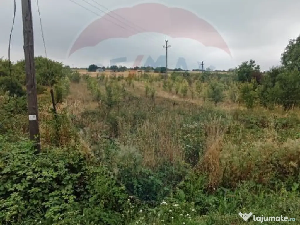 Teren 2.341 mp Uileacu de Munte front 26 ml la drum asfaltat 