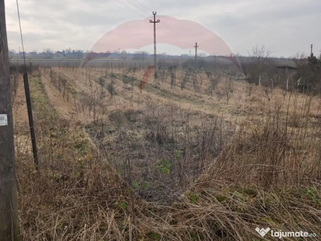 Teren 2.341 mp Uileacu de Munte front 26 ml la drum asfaltat 