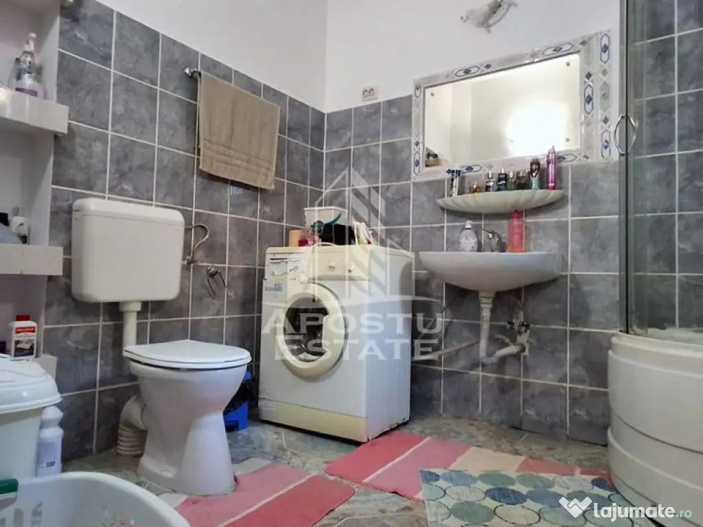 Casa de vanzare in Ineu formata din 2 cladiri