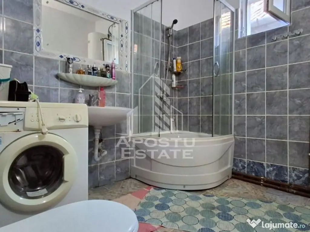 Casa de vanzare in Ineu formata din 2 cladiri