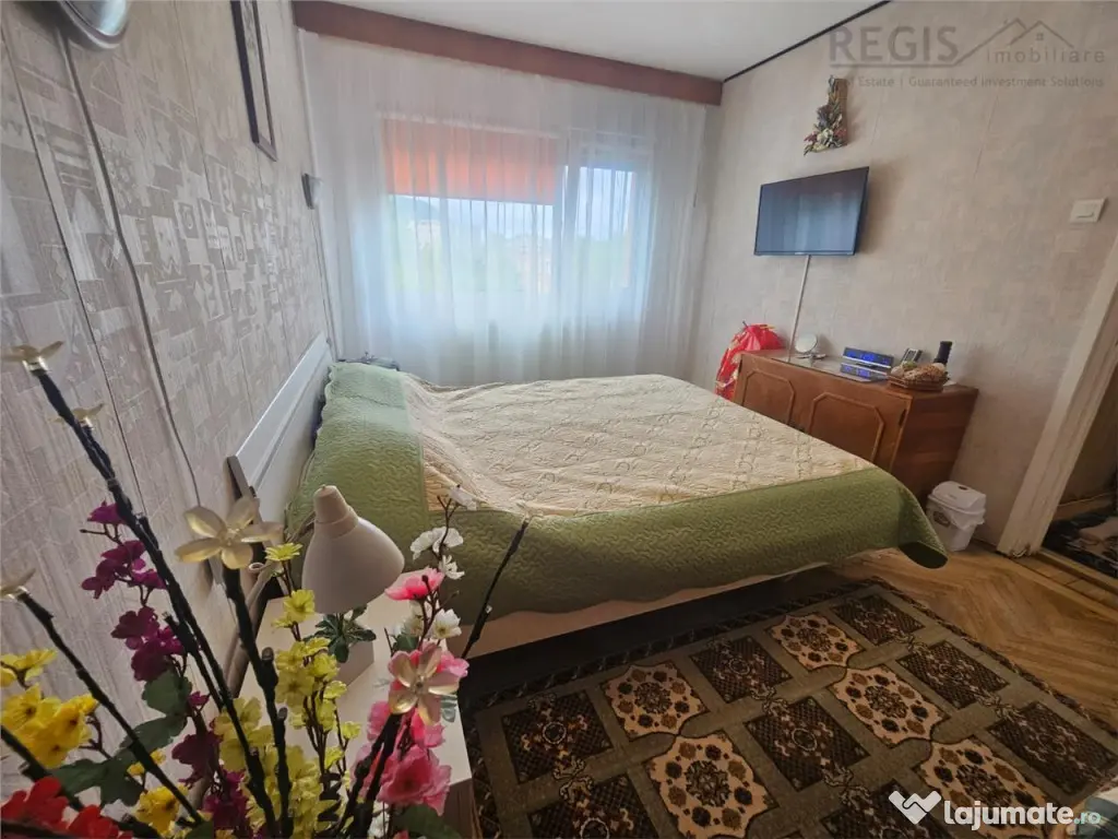 Apartament 2 Camere Astra cu Vedere Tampa 