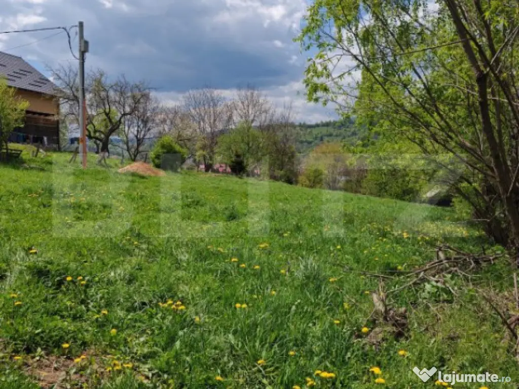 Teren intravilan, 1865 mp, de vanzare in Moieciu - Brasov