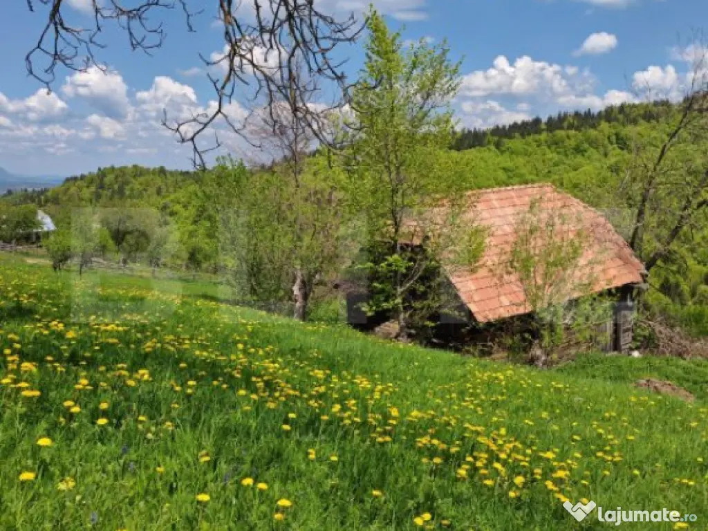 Teren intravilan 3400 mp, in Balaban - Simon, Bran - Brasov