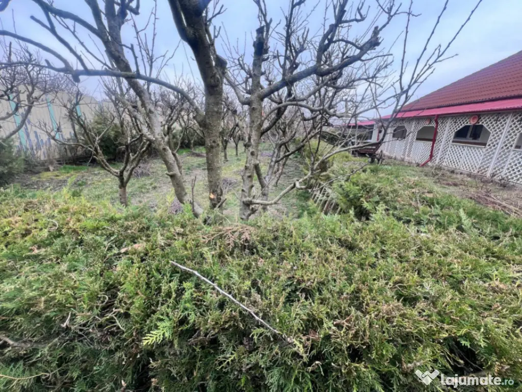 Negru Voda casa cu teren de 1200 mp, constructie 2008 