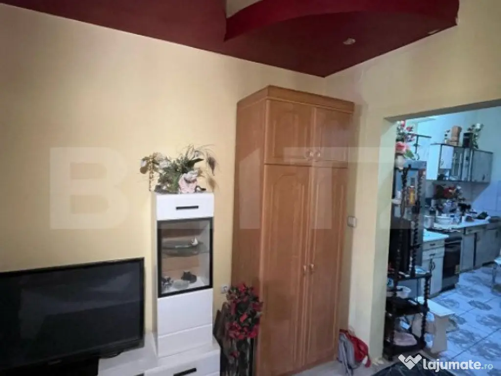 Doua apartamente, zona centrala