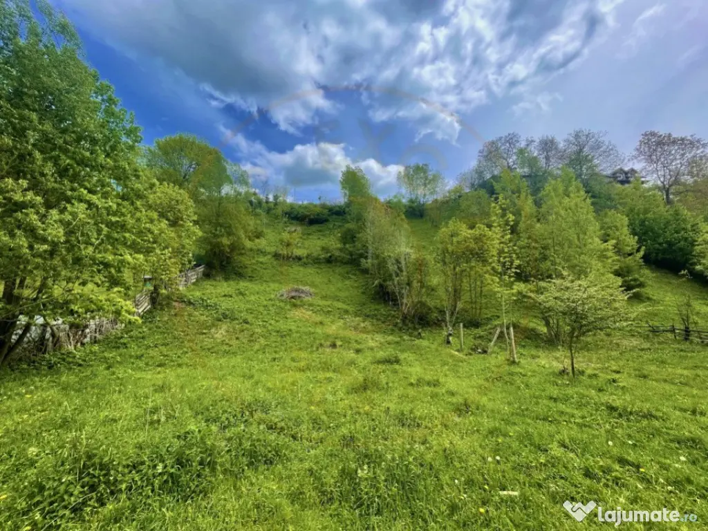 Teren intravilan Traisteni 839 mp, toate avizele 