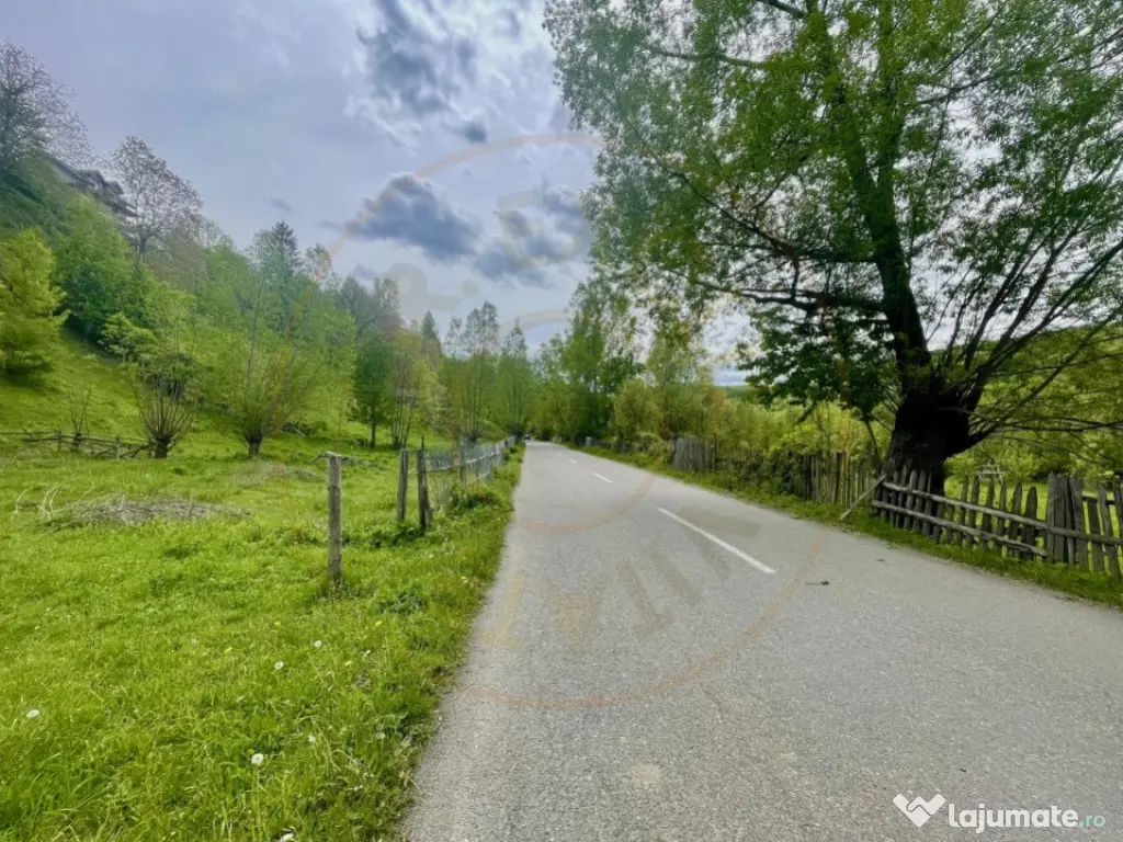 Teren intravilan Traisteni 839 mp, toate avizele 