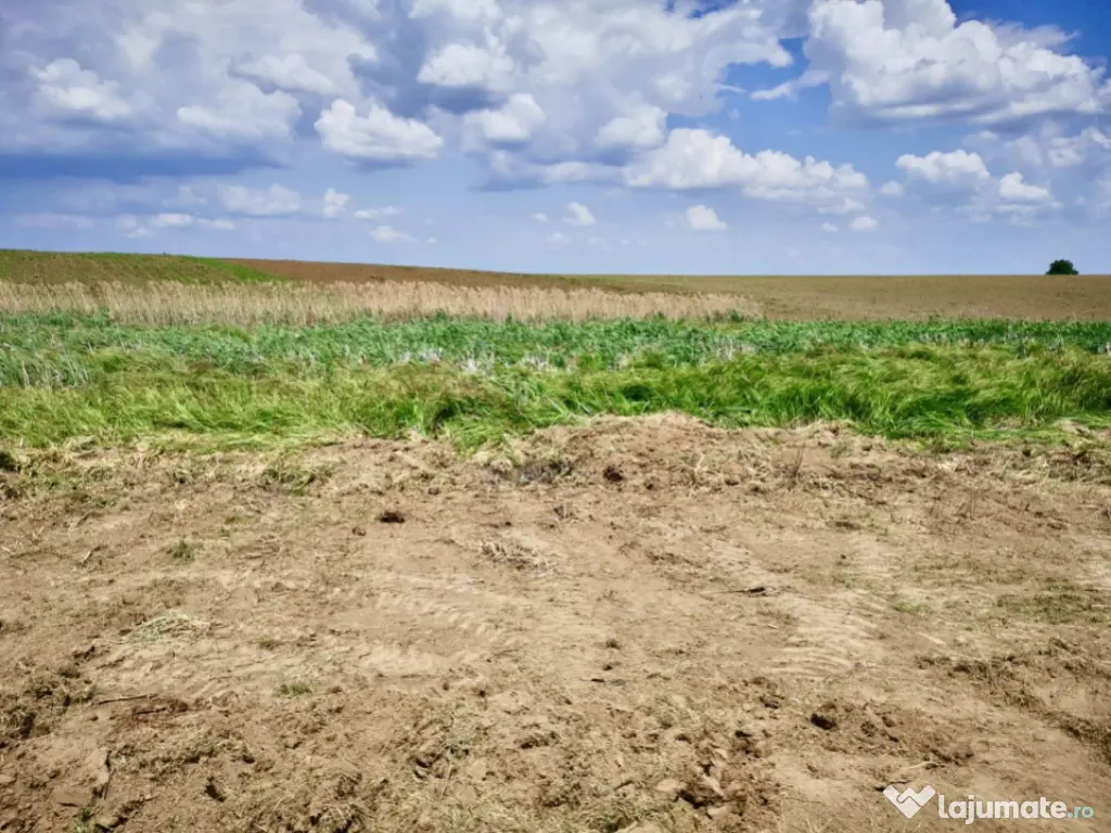 Teren in Butimanu cu Deschidere la Lac-Jud. Dambovita 