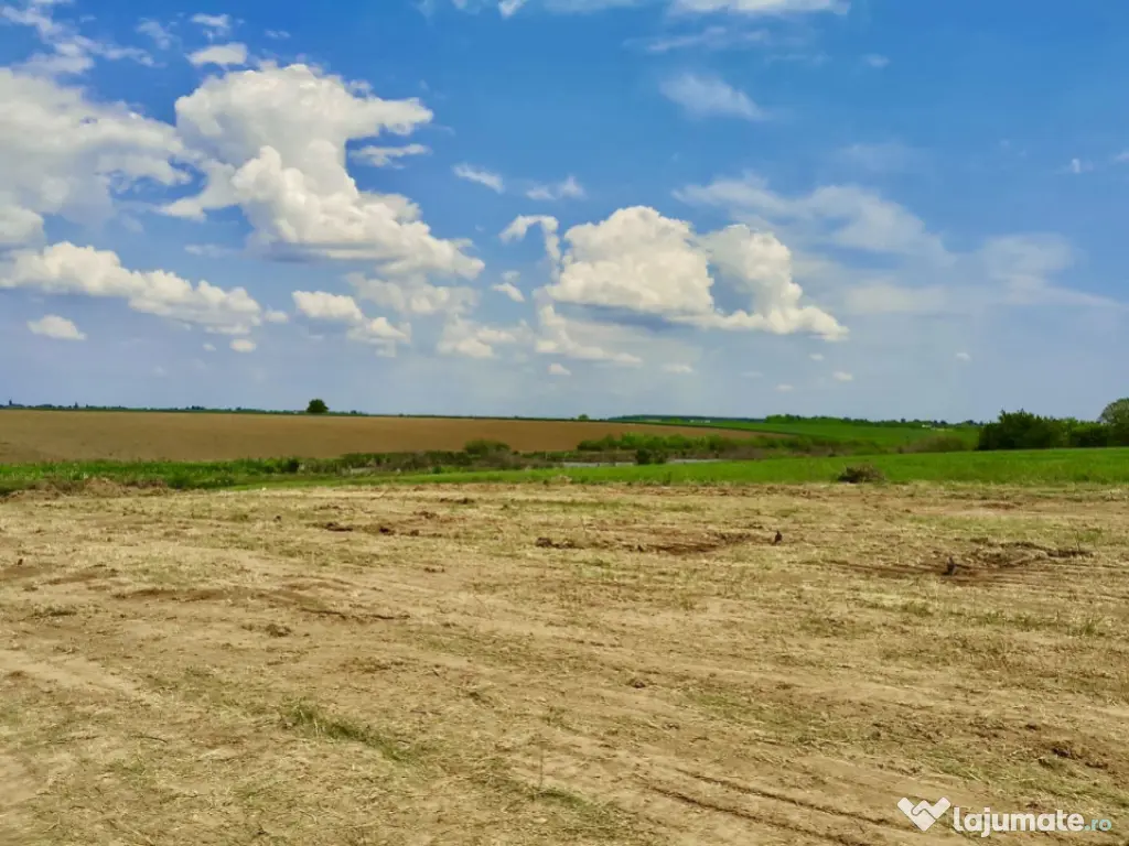 Teren in Butimanu cu Deschidere la Lac-Jud. Dambovita 