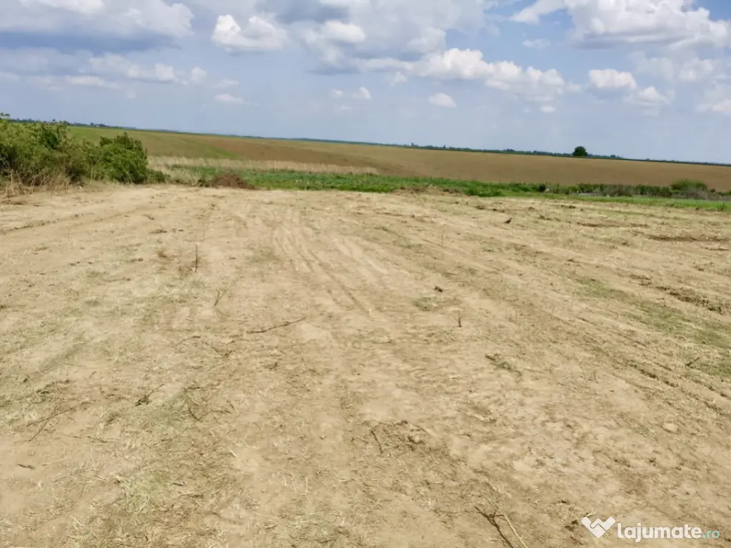 Teren in Butimanu cu Deschidere la Lac-Jud. Dambovita 