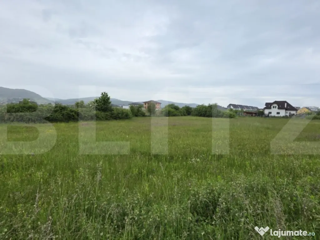 Teren intravilan, 48,3 ari zona Valea Rusului,