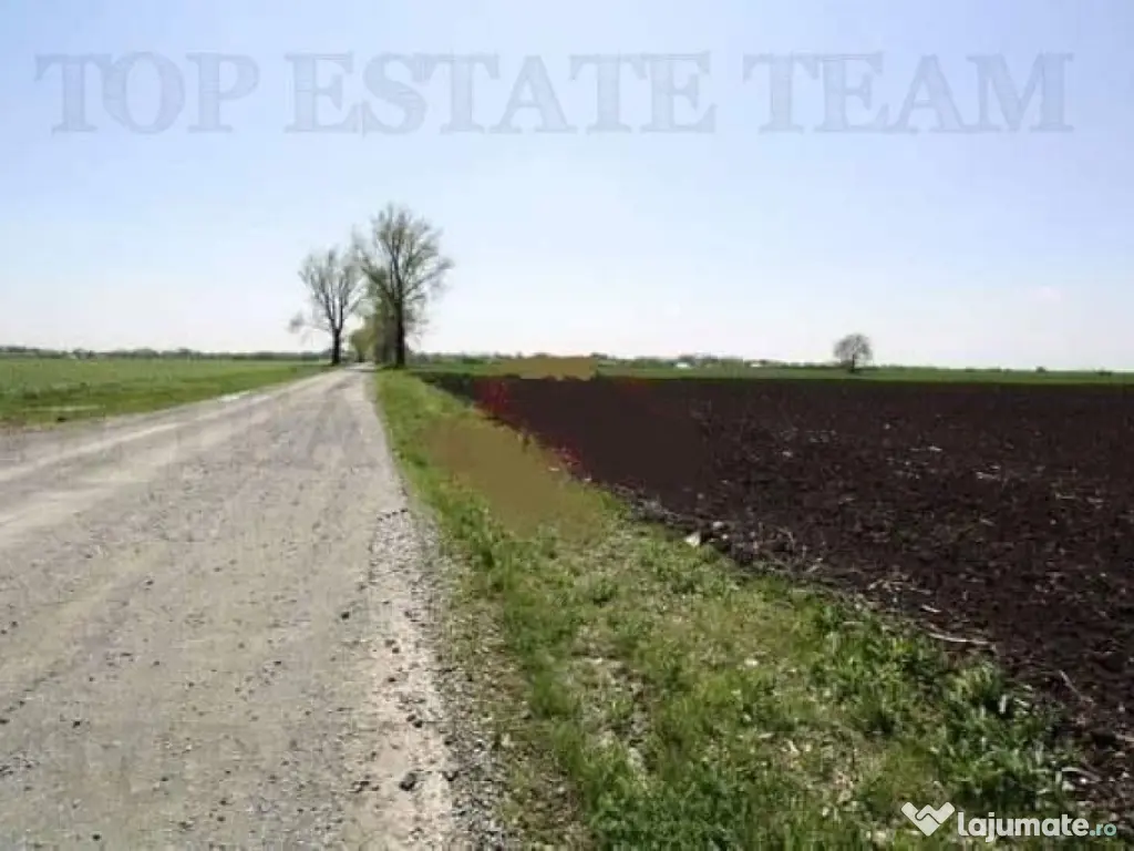 Teren de vazare pt investitie, Sinesti, 4 eur / mp, 21000mp 