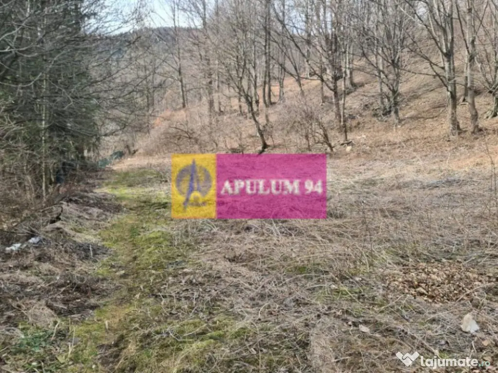 Teren de vânzare în Sinaia - Platou Izvor