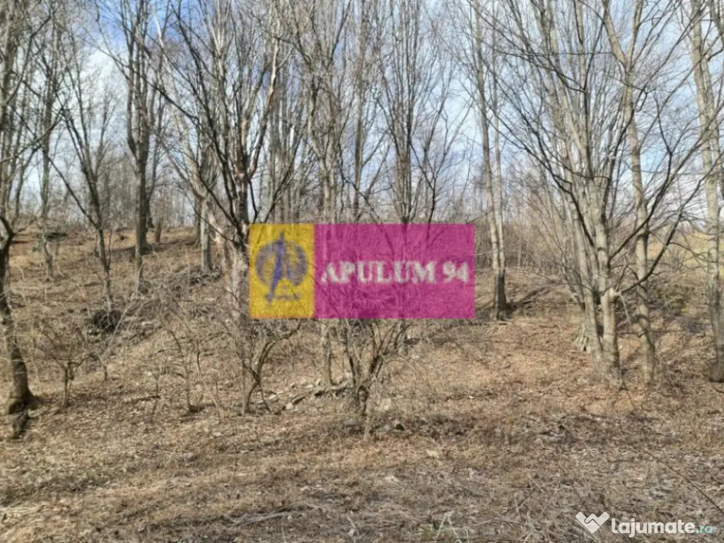 Teren de vânzare în Sinaia - Platou Izvor