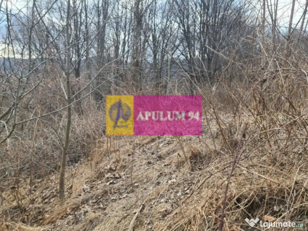 Teren de vânzare în Sinaia - Platou Izvor