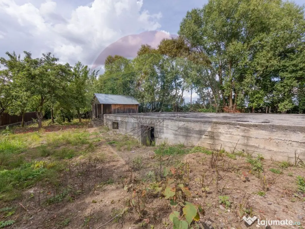 Teren intravilan cu fundație, proiect de casa, Avram Ian...