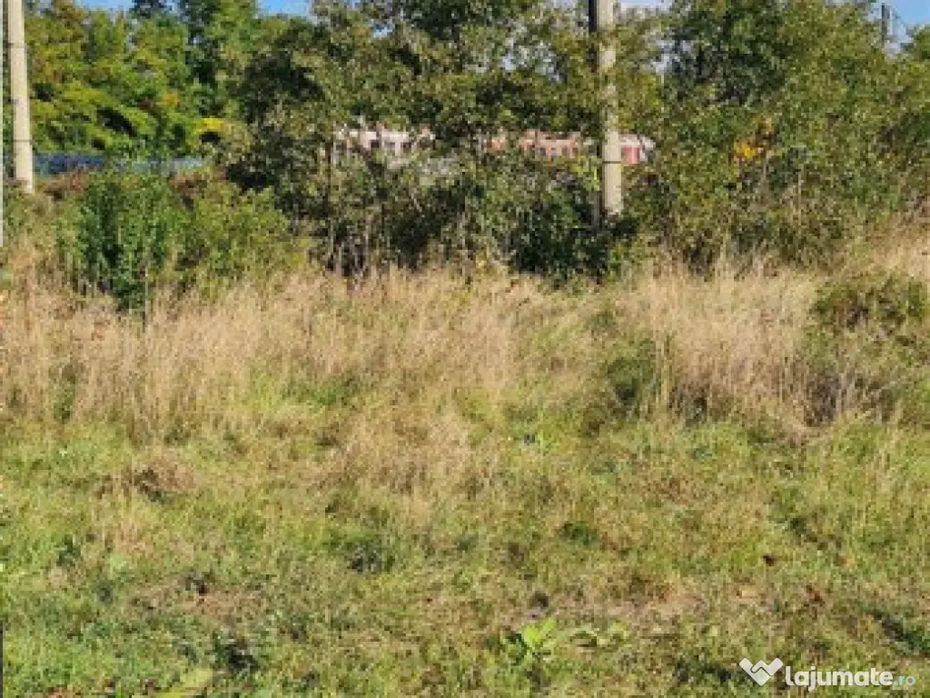 Teren Burdujeni, 2800 mp. 