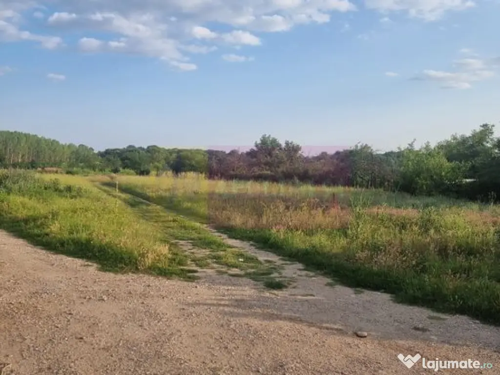 Se vinde teren 2150 mp in Teisori Giurgiu 