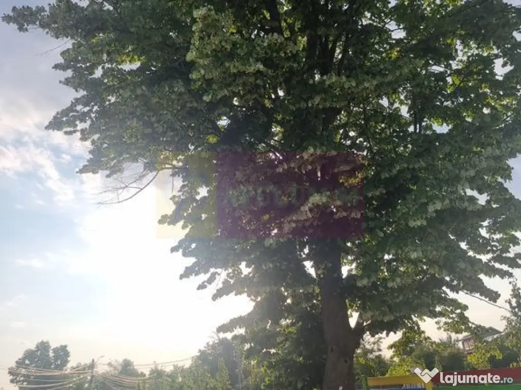 Se vinde teren 2150 mp in Teisori Giurgiu 