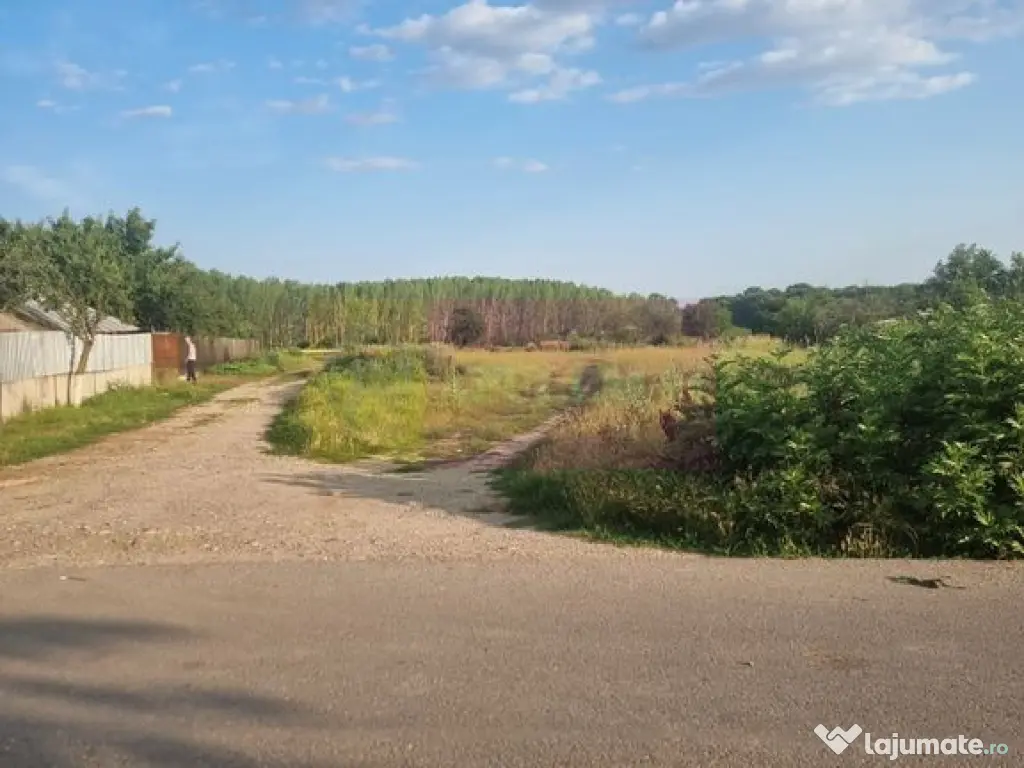Se vinde teren 2150 mp in Teisori Giurgiu 
