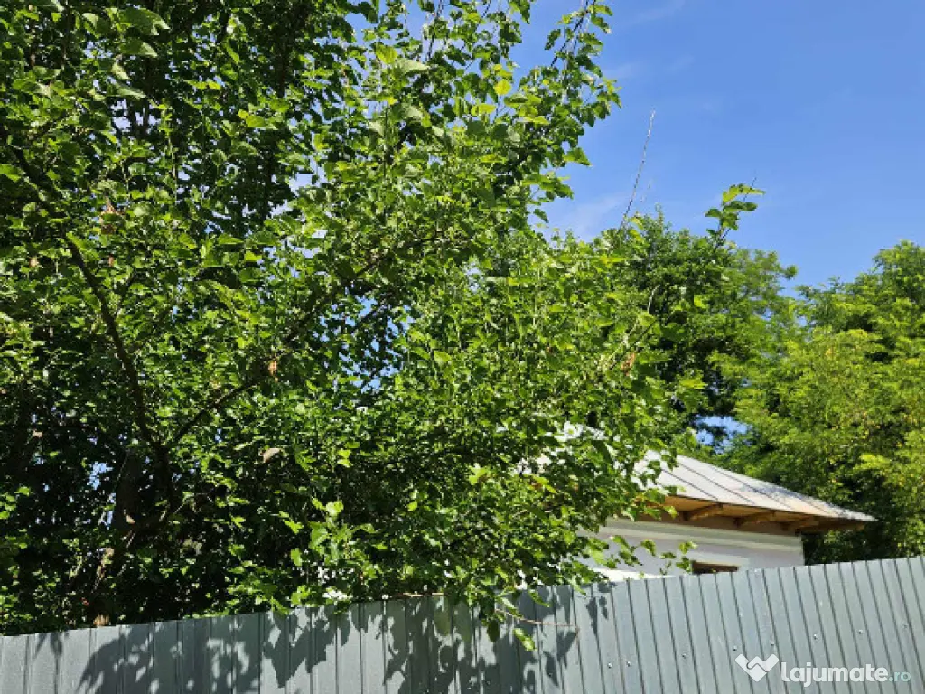 Casa de vanzare, zona Ion Creanga