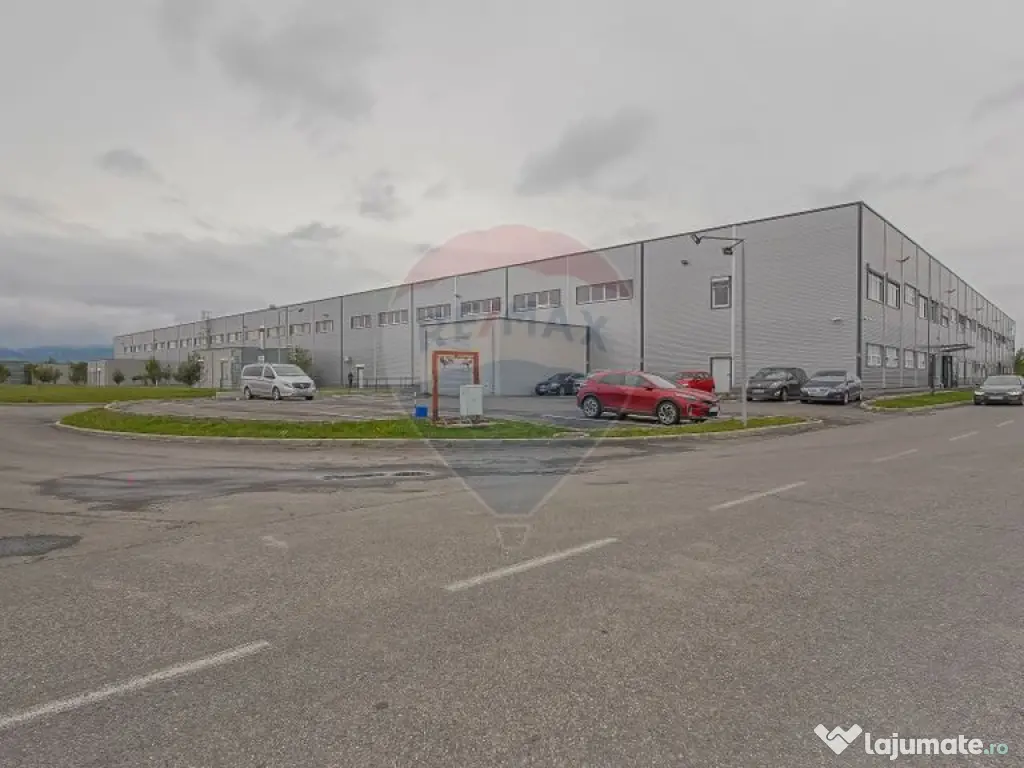 Hală industrială 5.000–12.000 mp de închiriat, Ghimbav 