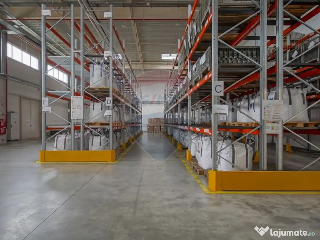 Hală industrială 5.000–12.000 mp de închiriat, Ghimbav 