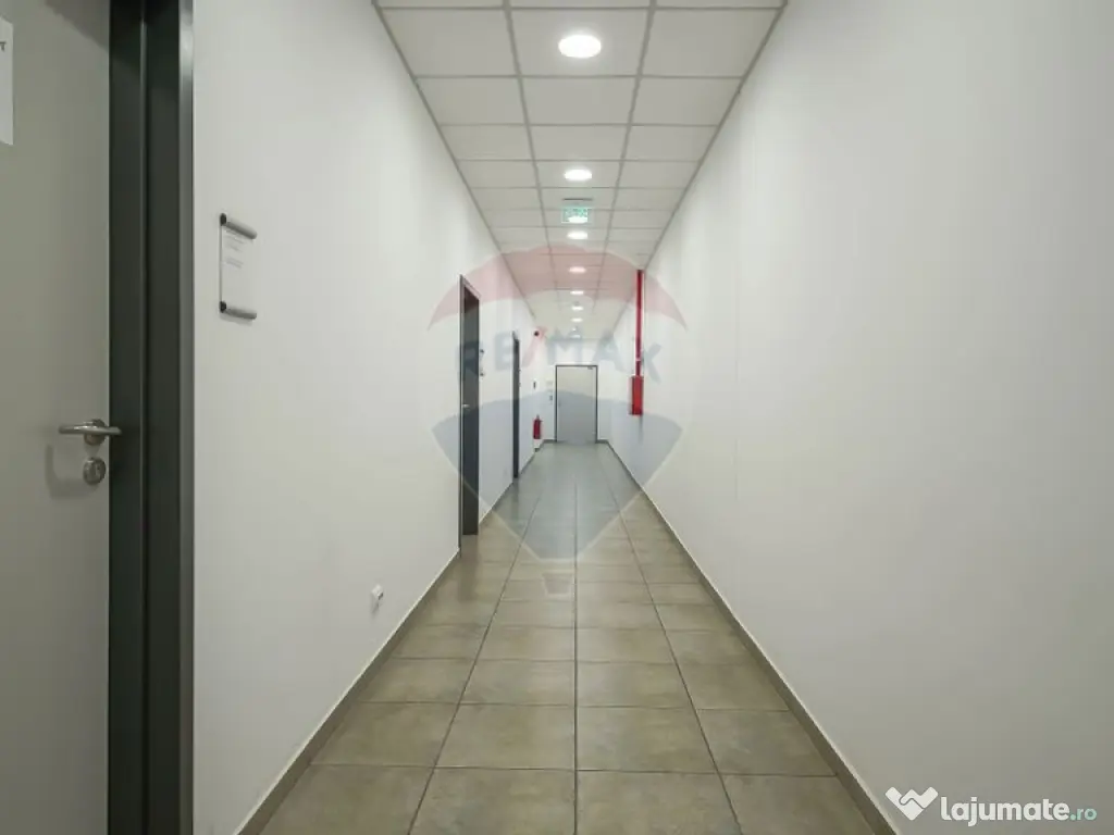 Hală industrială 5.000–12.000 mp de închiriat, Ghimbav 