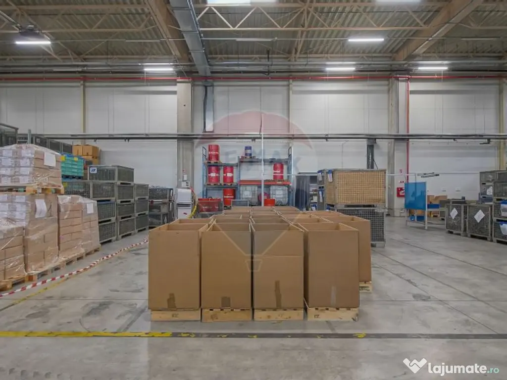 Hală industrială 5.000–12.000 mp de închiriat, Ghimbav 