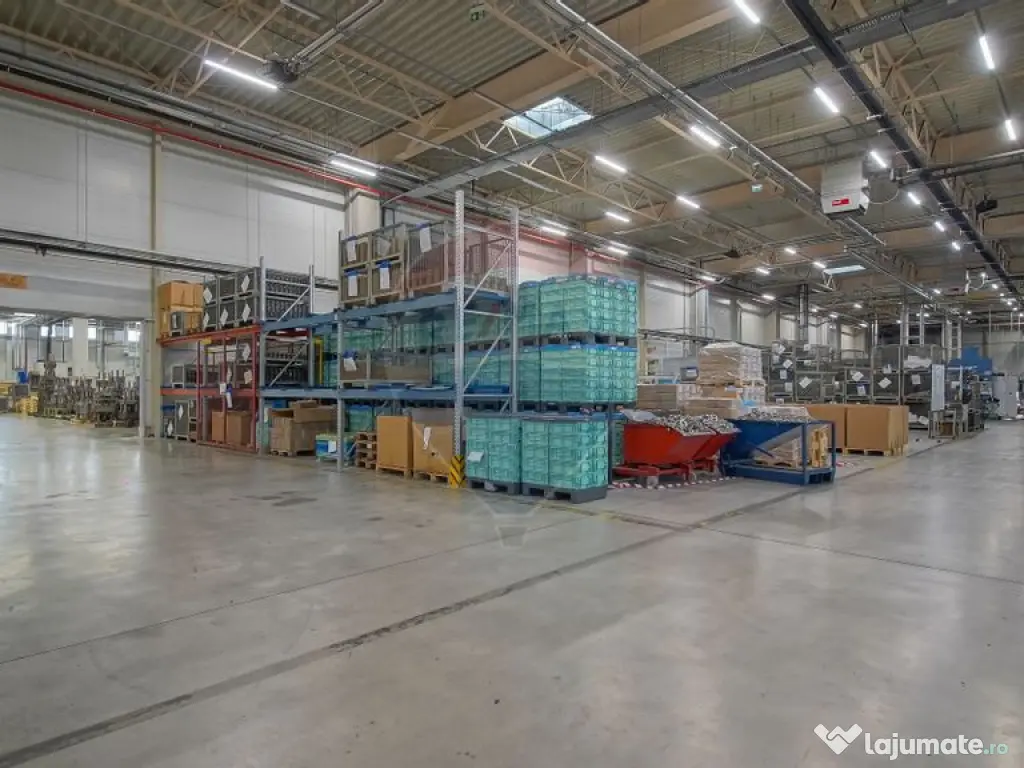 Hală industrială 5.000–12.000 mp de închiriat, Ghimbav 