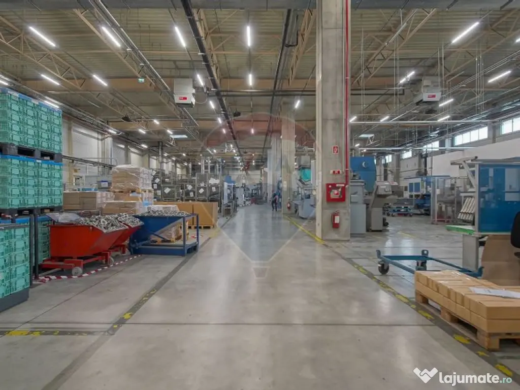 Hală industrială 5.000–12.000 mp de închiriat, Ghimbav 