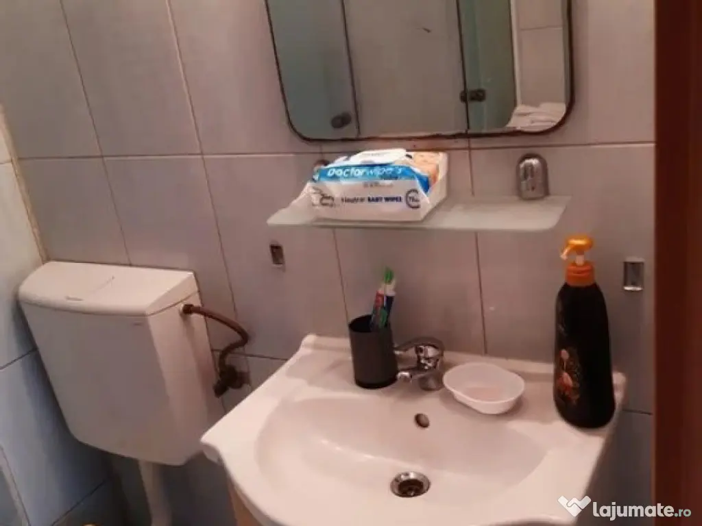 1 camera in zona Banatului