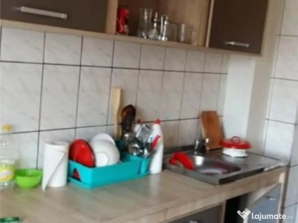 1 camera in zona Banatului