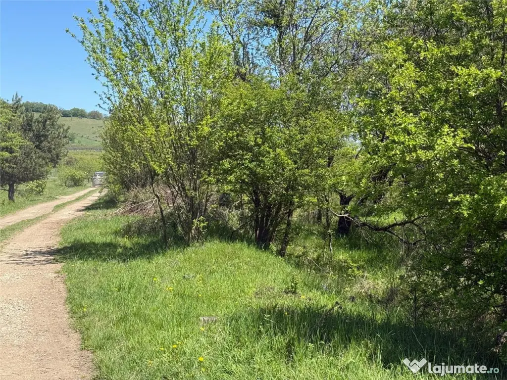 Teren lINTRAVILAN, langa Lempes, construibil 